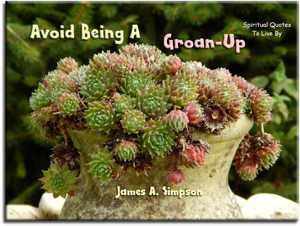 James A. Simpson quote: Avoid being a groan-up. - Spiritual Quotes To Live By