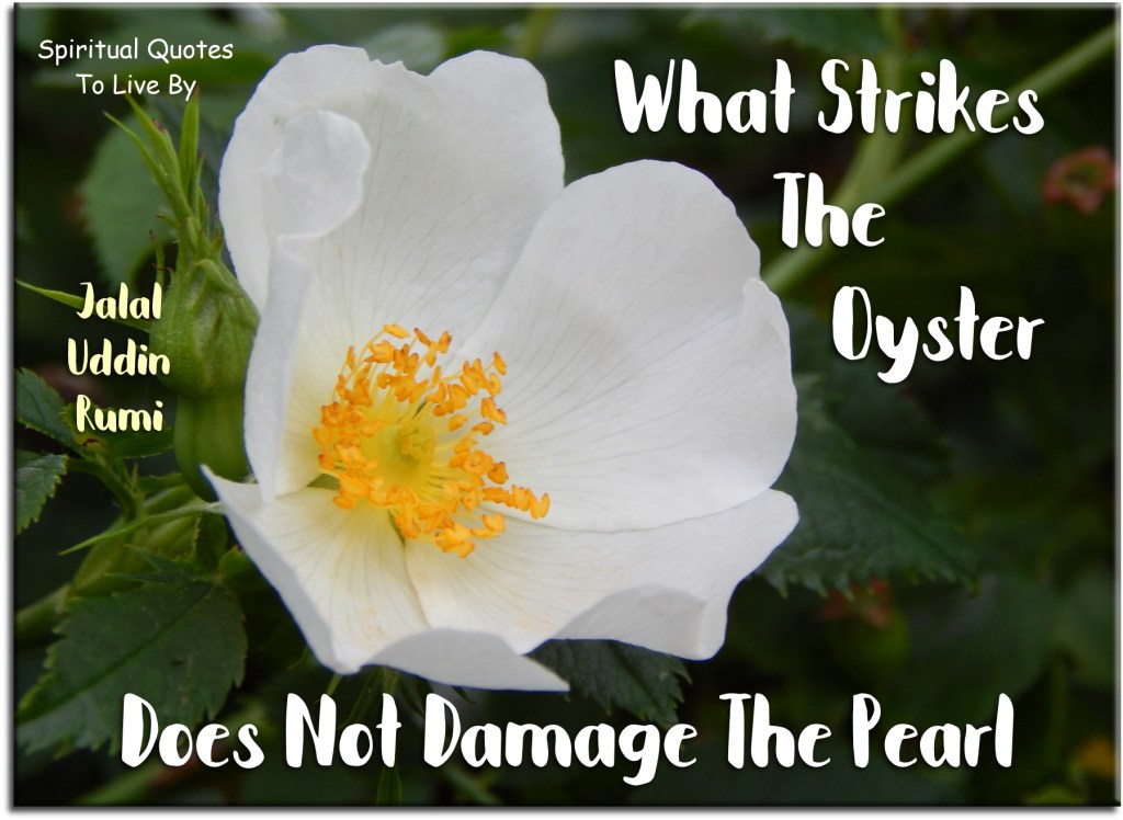 Rumi quote: What strikes the oyster does not damage the pearl. - Spiritual Quotes To Live By