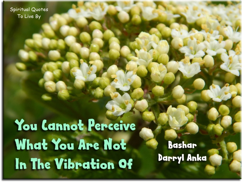 Bashar-Darryl Anka quote: You cannot perceive what you are not in the vibration of - Spiritual Quotes To Live By