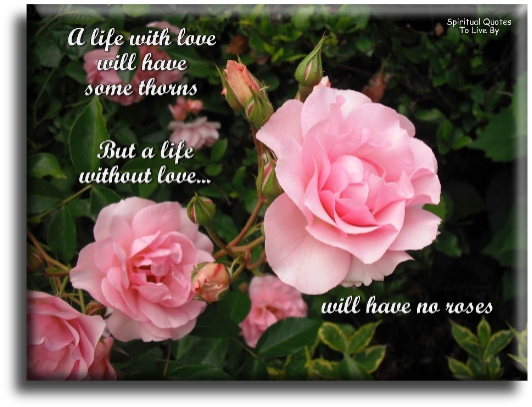 A life with love will have some thorns, but a life without love will have no roses. (unknown) - Spiritual Quotes To Live By