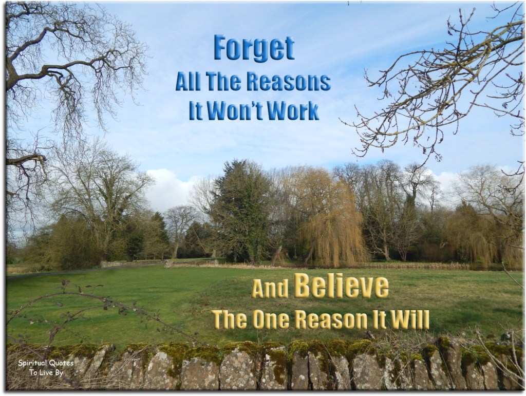 Forget all the reasons it won't work and believe the one reason it will. (unknown) - Spiritual Quotes To Live By