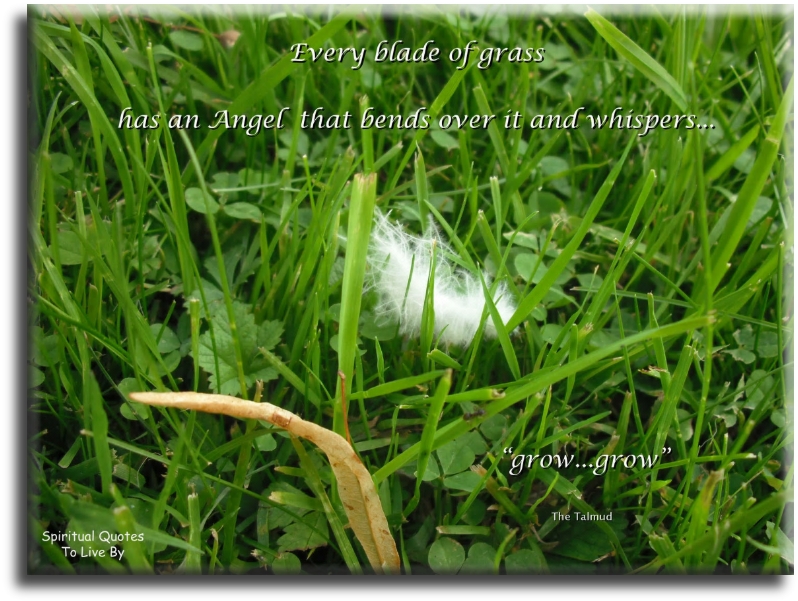 Talmud quote: Every blade of grass has an angel that bends over it and whispers 'Grow, grow' - Spiritual Quotes To Live By